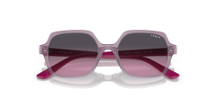 VJ2006