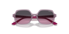 VJ2006