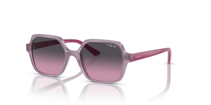 VJ2006