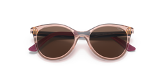 VJ2013