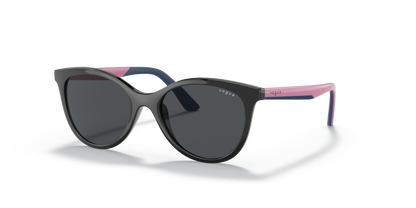 VJ2013