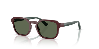 VJ2025