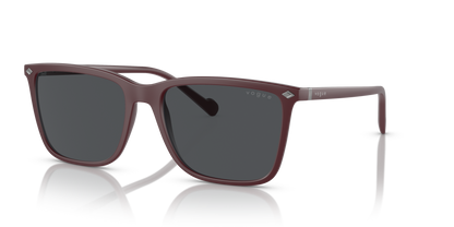VO5493S