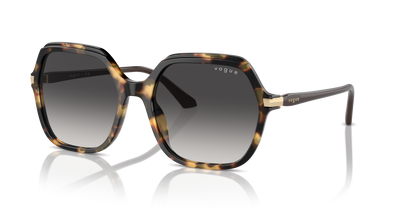 VO5561S