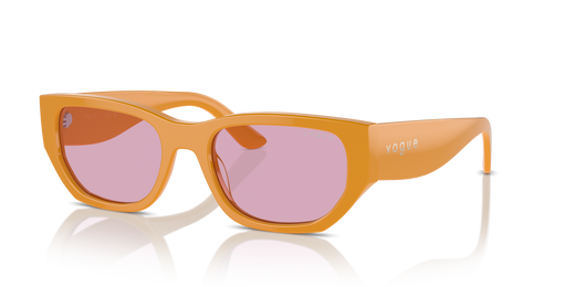 53-19