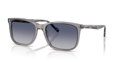 VO5618S