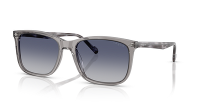 VO5618S