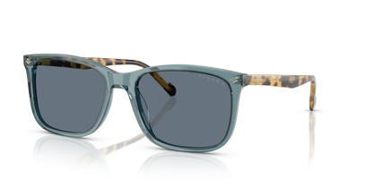 VO5618S