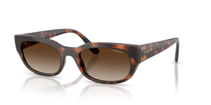 VO5669S